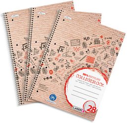 LANDRÉ® Collegeblöcke Recycling kariert DIN A4 Innen- und Außenrand, 3 St.