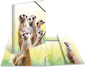 Thumbnail - HERMA Sammelmappen DIN A4 Erdmännchen, 3 St.