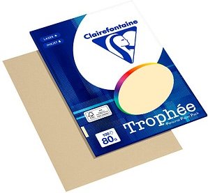 Clairefontaine Kopierpapier Trophée chamois DIN A4 80 g/qm 100 Blatt