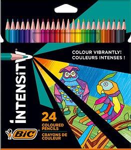 BIC INTENSITY Buntstifte farbsortiert, 24 St.