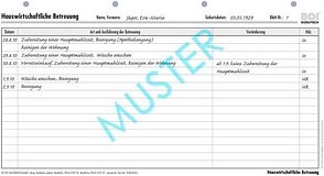 BOI Hauswirtschaftliche Betreuung Formulare, 50 St.