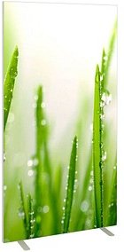PAPERFLOW Trennwand easyScreen ES97014, Gräser bunt 94,0 x 173,2 cm, 1 St.