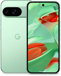 Google Pixel 9 Dual-SIM-Smartphone wintergrün 128 GB