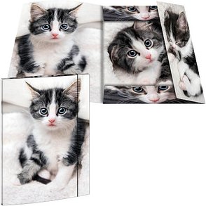 Thumbnail - RNK-Verlag Zeichenmappe DIN A3 Katze, 1 St.