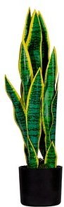 Kunstpflanze meet by Paperflow Sansevieria, H 650 mm, PEVA