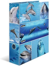 HERMA Motivordner Delfine 7,0 cm DIN A4