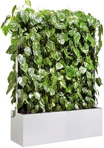 Thumbnail - CP Pflanzen-Trennwand, weiß 120,0 x 163,5 cm mit Rollen, 1 St.