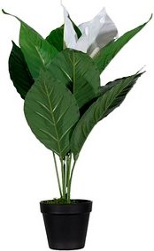 meet powered by PAPERFLOW EINBLATT Kunstpflanze 55,0 cm