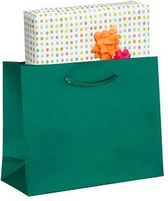 VP Papier-Tragetaschen grün 25,0 x 20,0 cm, 25 St.