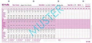 BOI BZ-Profile Formulare, 50 St.