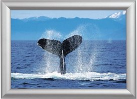 Showdown® Displays Klapprahmen silber 45,1 x 62,5 cm, 1 St.