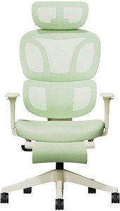 FlexiSpot Bürostuhl BS5WG-PRO Stoff grün, Gestell schwarz