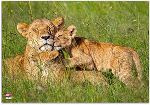 VELOFLEX Schreibtischunterlage Löwen Kunststoff 50,0 x 35,0 cm, 1 St.