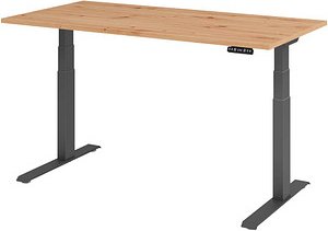 HAMMERBACHER XDKB16 elektrisch höhenverstellbarer Schreibtisch asteiche rechteckig, C-Fuß-Gestell grau 160,0 x 80,0 cm