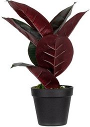 Kunstpflanze meet® by Paperflow Gummibaum, inkl. Kunststoff-Topf, H 360 mm, PEVA