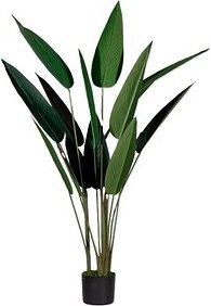 Thumbnail - meet powered by PAPERFLOW PARADIESVOGELBLUME Kunstpflanze 140,0 cm