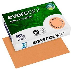 Clairefontaine Recyclingpapier Evercolor lachs DIN A4 80 g/qm 500 Blatt