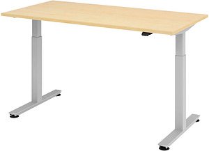HAMMERBACHER XMST16 elektrisch höhenverstellbarer Schreibtisch ahorn rechteckig, T-Fuß-Gestell silber 160,0 x 80,0 cm
