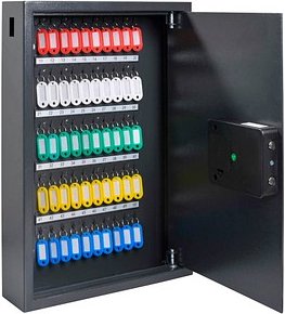 pavo Advanced Schlüsseltresor grau mit 50 Haken, Elektronikschloss, 40,0 x 10,0 x 55,0 cm, 1 St.