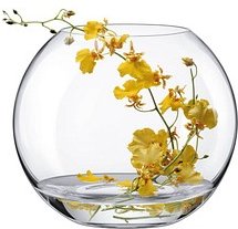 Thumbnail - RONA Vase Ambiente transparent