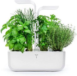 Véritable® Kräutertopf-Set CLASSIC weiß