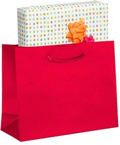 VP Papier-Tragetaschen rot 25,0 x 20,0 cm, 25 St.