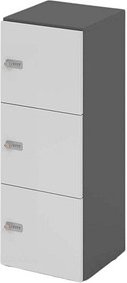 HAMMERBACHER Schließfachschrank grafit, lichtgrau V234L3/G/5/ZS, 3 Schließfächer 40,0 x 42,0 x 110,0 cm