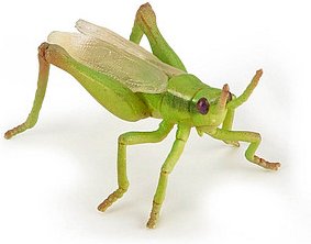 Thumbnail - papo 50268 Heuschrecke Spielfigur