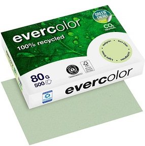 Clairefontaine Recyclingpapier Evercolor hellgrün DIN A4 80 g/qm 500 Blatt