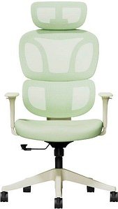 FlexiSpot Bürostuhl BS5LG Stoff grün, Gestell schwarz