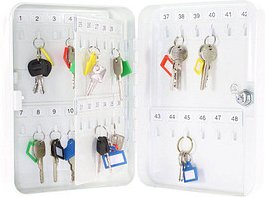 Thumbnail - ROTTNER TS48 Schlüsselkasten hellgrau mit 48 Haken, Zylinderschloss, 18,5 x 8,5 x 25,0 cm, 1 St.