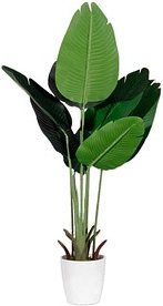 Thumbnail - meet powered by PAPERFLOW BANANENBAUM Kunstbaum 115,0 cm