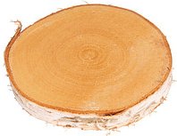Thumbnail - Rayher Bastelholz natur Birkenscheiben 15,0-17,0 cm, 1 St.
