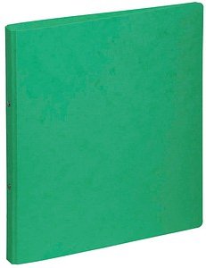 PAGNA Ringbuch 2-Ringe grün 3,0 cm DIN A4, 1 St.