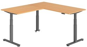 HAMMERBACHER XDSMW1912 elektrisch höhenverstellbarer Schreibtisch buche rechteckig, T-Fuß-Gestell grau 180,0 x 200,0 cm