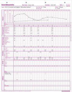 BOI Intensivdokumentation Formulare, 50 St.