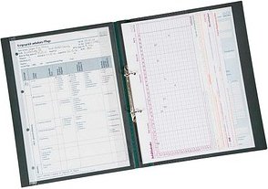 BOI Ringmappen grün, 10 St.