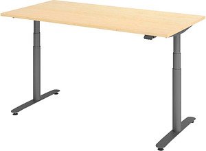 HAMMERBACHER VXDLR16 elektrisch höhenverstellbarer Schreibtisch ahorn rechteckig, T-Fuß-Gestell grau 160,0 x 80,0 cm