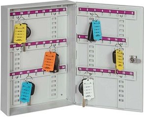 EICHNER Schlüsselkasten lichtgrau mit 50 Haken, Zylinderschloss, 36,5 x 24,0 x 7,0 cm, 1 St.