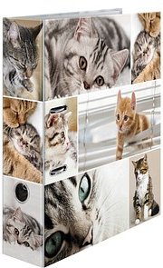 HERMA Motivordner Katzen 7,0 cm DIN A4, 1 St.