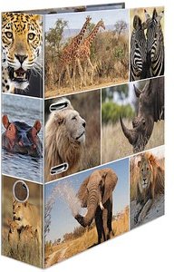 HERMA Motivordner Afrika Tiere 7,0 cm DIN A4