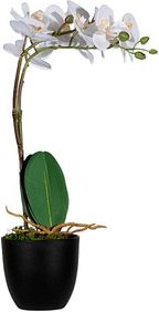 Thumbnail - meet powered by PAPERFLOW ORCHIDEE Kunstpflanze 40,0 cm