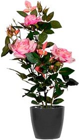 meet powered by PAPERFLOW ROSENSTOCK Kunstpflanze 54,0 cm