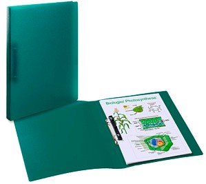 HERMA Ringbuch 2-Ringe dunkeelgrün 3,5 cm DIN A4, 1 St.