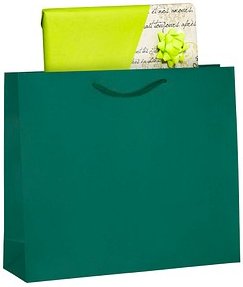 VP Papier-Tragetaschen grün 42,0 x 36,0 cm, 25 St.