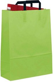 VP Papier-Tragetaschen hellgrün 32,0 x 42,0 cm, 50 St.