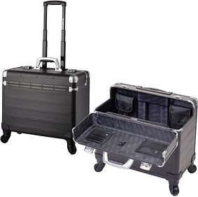 ALUMAXX Pilotenkoffer PANDORA Aluminium schwarz 47,0 x 25,0 x 36,0 cm