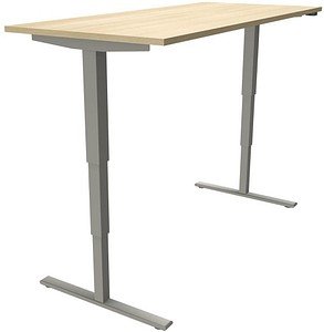 fm fastline elektrisch höhenverstellbarer Schreibtisch königsahorn rechteckig, T-Fuß-Gestell silber 180,0 x 80,0 cm
