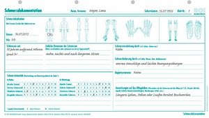BOI Schmerzdokumentation Formulare, 50 St.