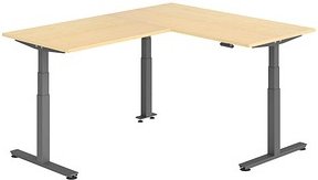 HAMMERBACHER XDSMW1612 elektrisch höhenverstellbarer Schreibtisch ahorn rechteckig, T-Fuß-Gestell grau 160,0 x 200,0 cm
